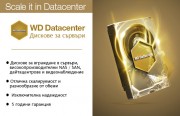 HDD 1TB SATAIII WD RE 7200rpm 128 MB for servers (5 years warranty)
