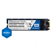 SSD WD Blue 250GB M.2 2280(80 X 22mm) SATA III TLC, read-write: up to 540MBs, 500MBs