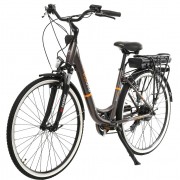 ������� ������������ ��������� EcoBike CityL 350W